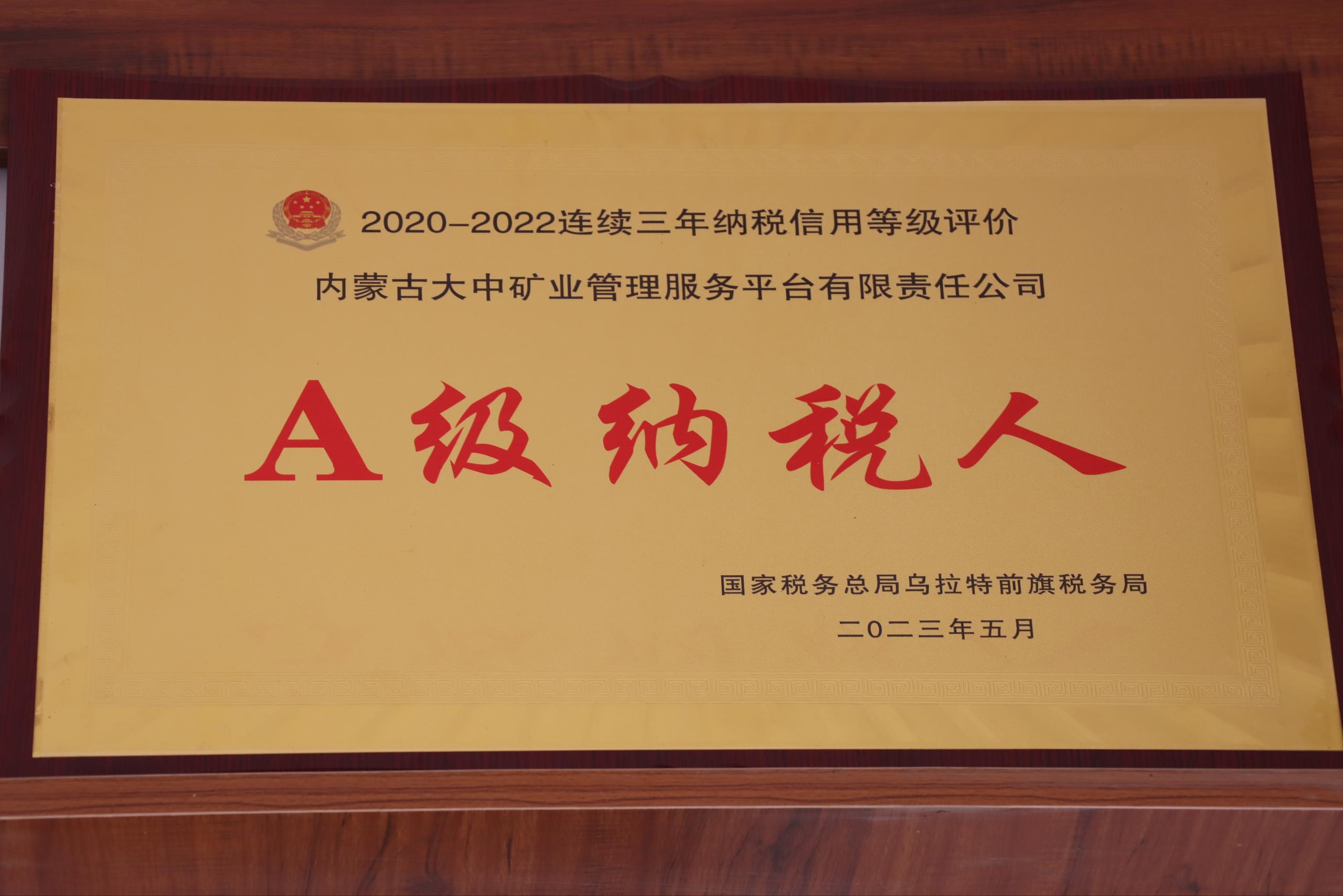 A级征税人（子公司）